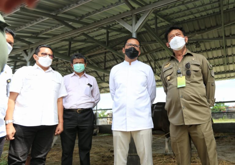 Wali Kota Makassar Dampingi Mentan RI Tinjau RPH Ruminansia Manggala