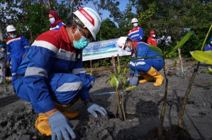 Pertamina RU VII Kasim Lakukan Penanaman Mangrove Dan Pohon Jati Papua di Kampung Klayas