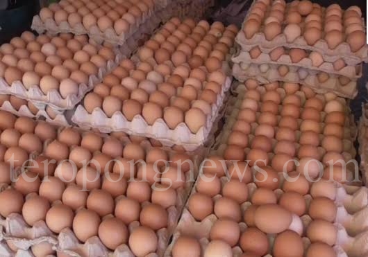 Harga Telur Merauke Masih Stabil Jelang Hari Raya