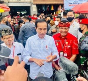 Usulan Penghapusan Jabatan Gubernur, Jokowi: Kalau Usulan Boleh Saja