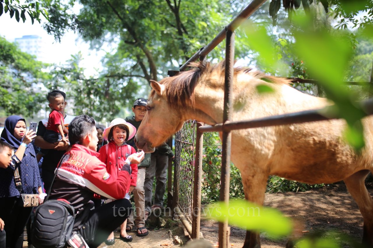 Lahan Kebun Binatang Segera Diambil Alih Pemkot Bandung