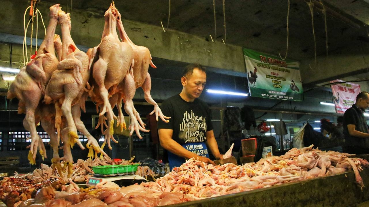 Harga Daging Ayam dan Cabai di Bandung Masih Tinggi, Ini Pemicunya