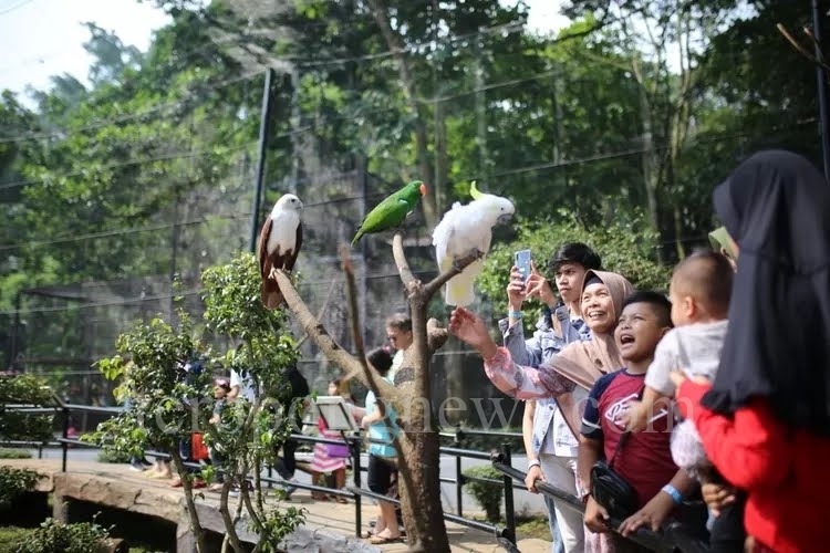 Pemkot Bandung Bakal Gandeng PKBSI Kelola Kebun Binatang