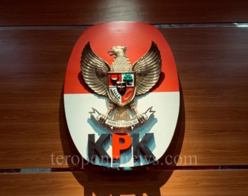 MAKI Minta Bantuan Wakil Ketua KPK Nurul Ghufron untuk Mutasi PNS Papua ke Jakarta
