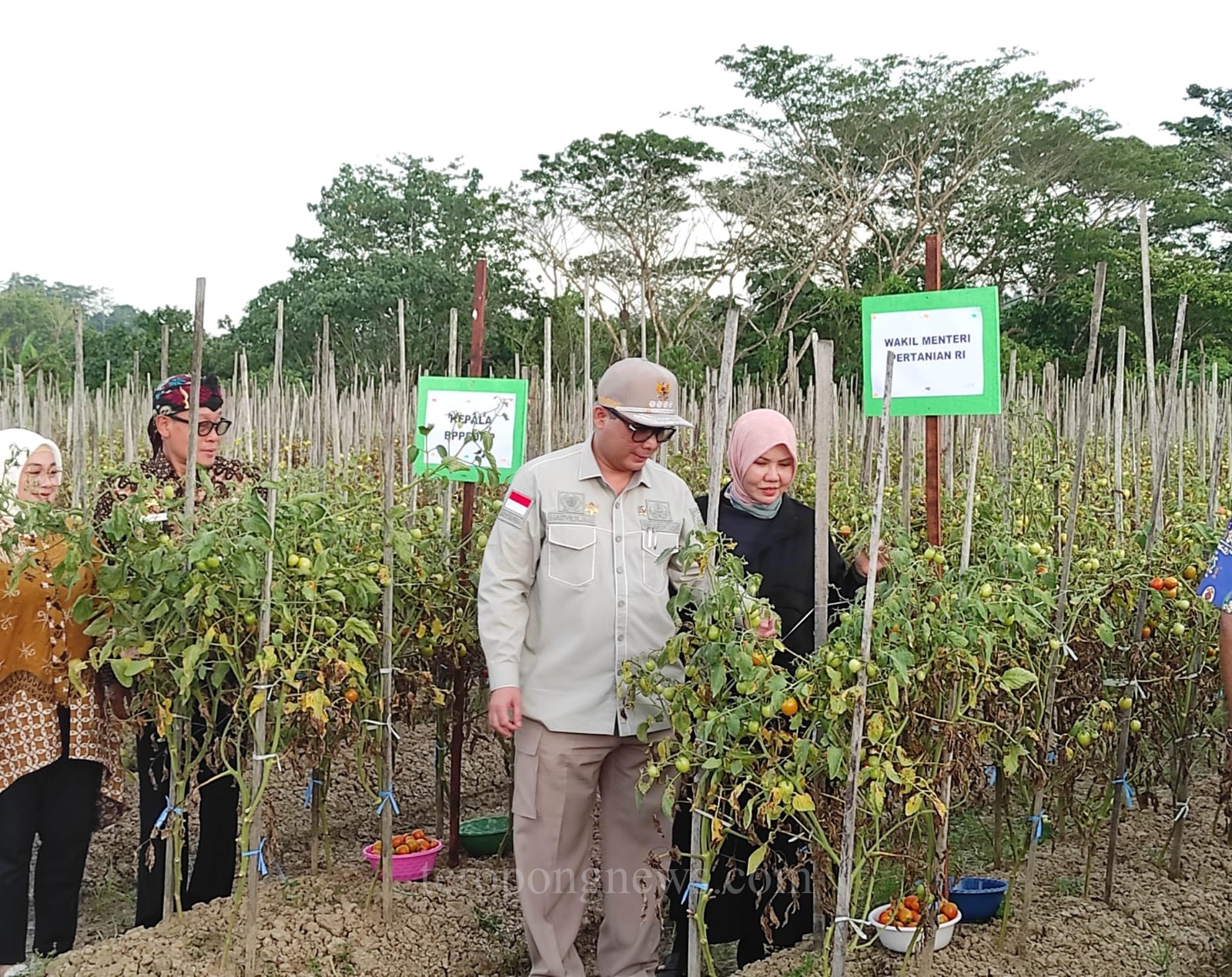 Kunjungi Kabupaten Sorong, Wamentan Akan Terus Tingkatkan SDM untuk Akselerasi Sektor Pertanian