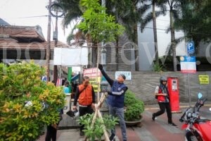 Pemkot Bandung Berkomitmen Jaga Pohon Pule di Jalan Sudirman, Ini Tujuannya