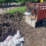 Karantina Papua Selatan Musnahkan Daging Ayam Beku Asal Surabaya
