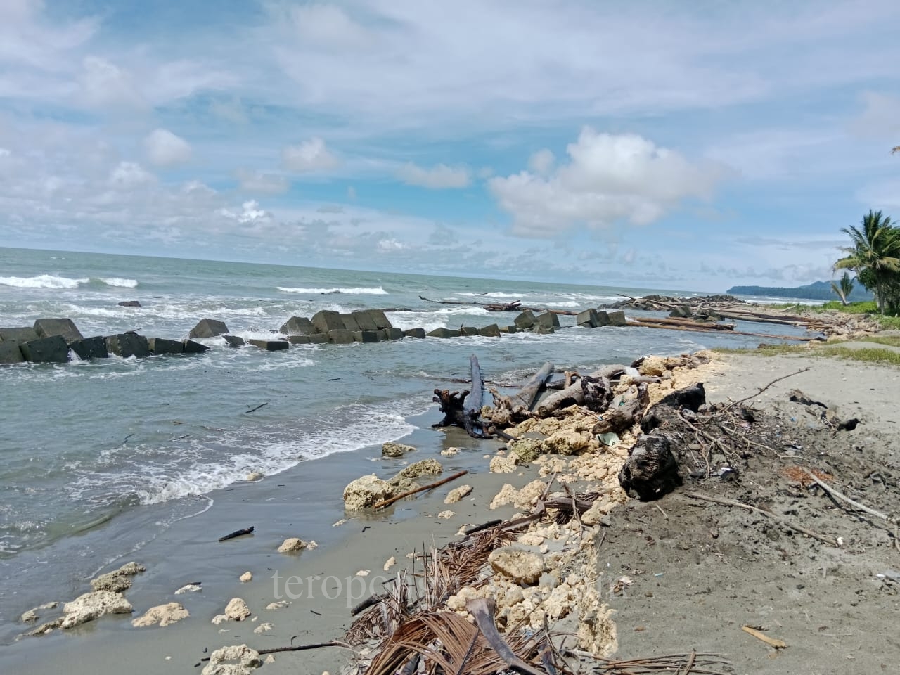 Caption : Kondisi terkini Abrasi Akibat Pengikisan Air Laut di Sepanjang Pantai Skouw di Kampung Skouw Mabo
